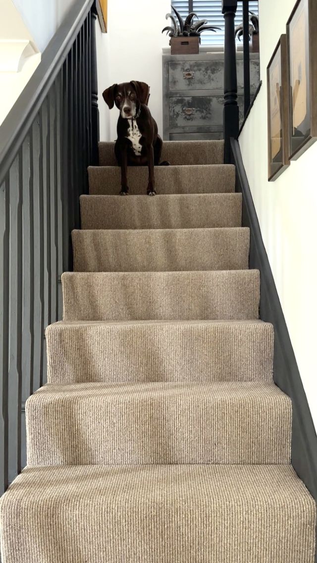 beige and brown striped stair carpet
